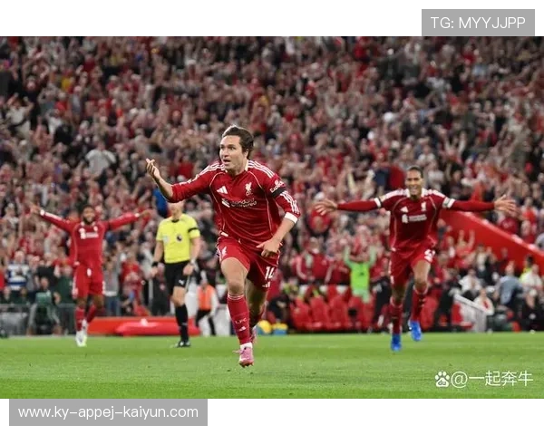 英超哪些球队已经上市